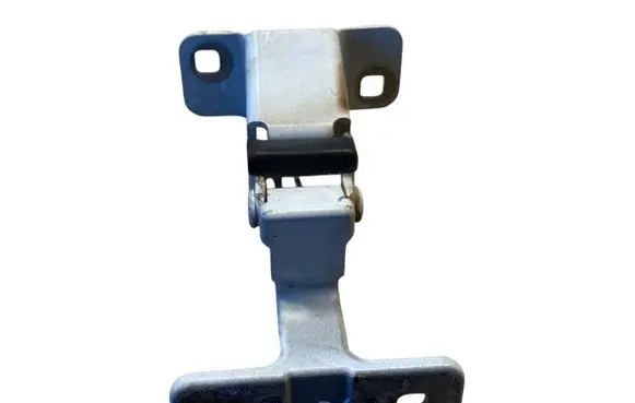 Dacia Dokker Tailgate/trunk/boot hinge 844009913R