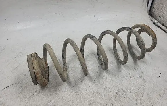 Volkswagen Bora Rear coil spring 