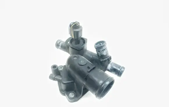 Thermostat/thermostat housing