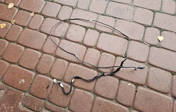 Opel Mokka B Panel wiring 99755094