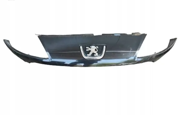 Peugeot 1007 Front bumper upper radiator grill 9646173877