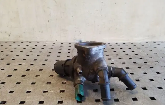 Thermostat/thermostat housing