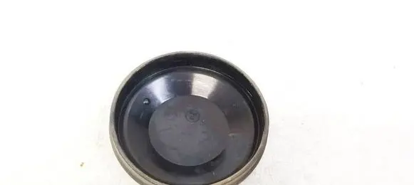 Renault Scenic II - Grand scenic II Headlight/headlamp dust cover 153874