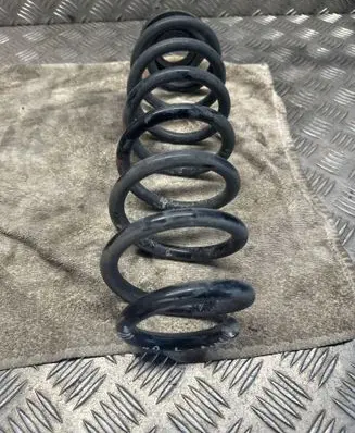 Rear coil spring