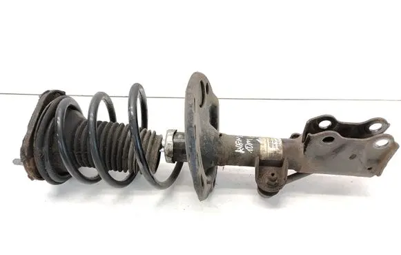 Front shock absorber with coil spring