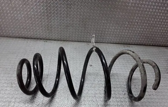 Front coil spring