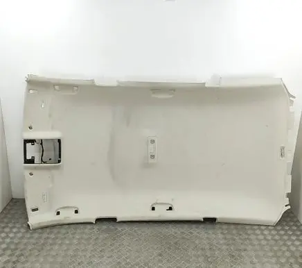 Volkswagen PASSAT B8 Headlining 3G9867501