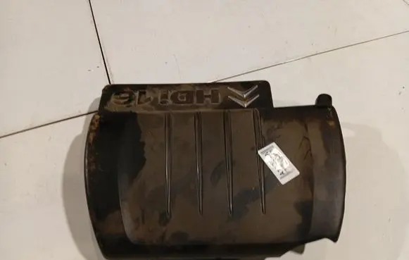 Citroen C5 Engine cover (trim) 9659999980