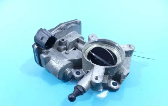 Throttle body valve