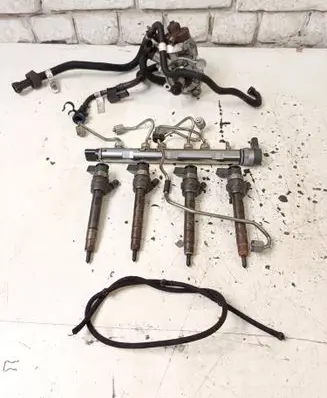 BMW X1 E84 Fuel injection system set 0445110289 798446 704922