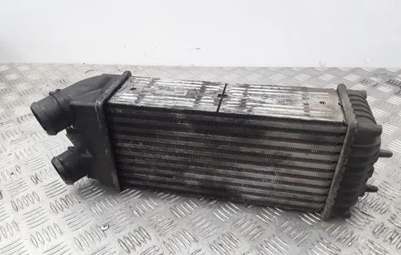 Citroen Xsara Picasso Intercooler radiator 9645965180 874964GJ