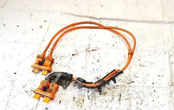 Cupra Born Other wiring loom 1ea971015t 2030201