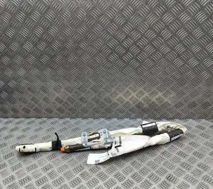 Tesla Model X Roof airbag 103675900E 630692600K