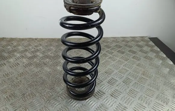Rear coil spring