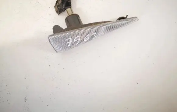 Front fender indicator light