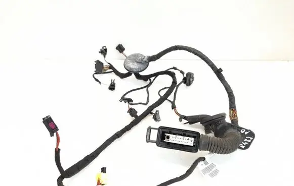 Front door wiring loom