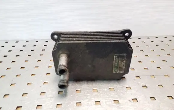 Oil filter mounting bracket