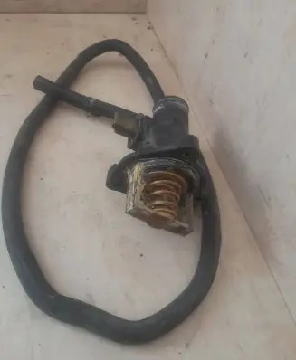 Thermostat/thermostat housing