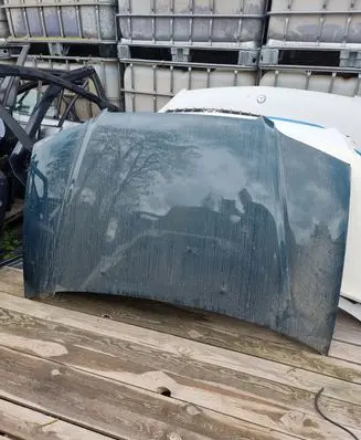 Hyundai Trajet Engine bonnet/hood NOCODE