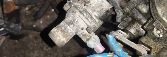 Honda Accord Engine coolant pipe/hose