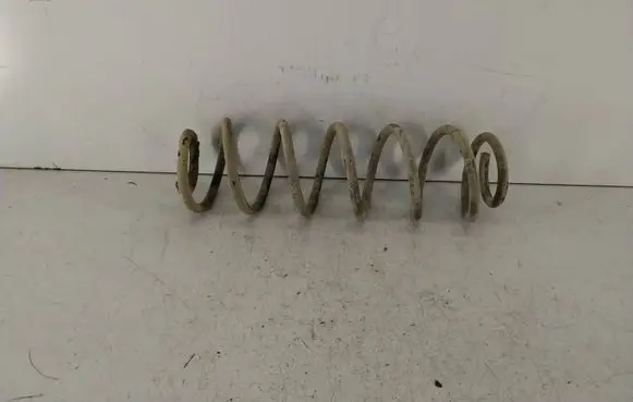 Volkswagen PASSAT B5.5 Front coil spring 