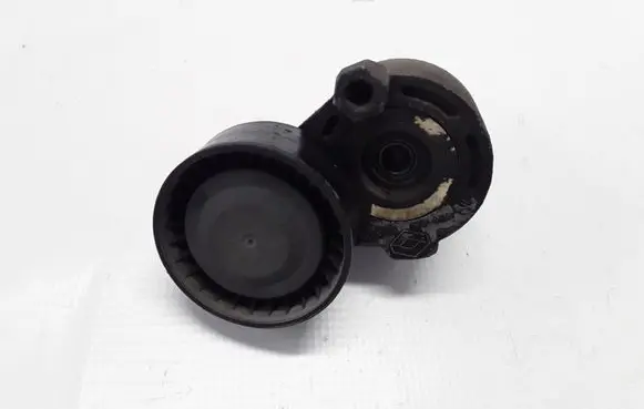 Renault Megane III Timing belt/chain tensioner 