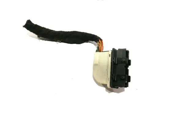 Front door wiring loom