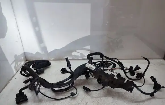 Engine installation wiring loom