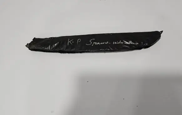 Renault Megane IV Fender foam support/seal 