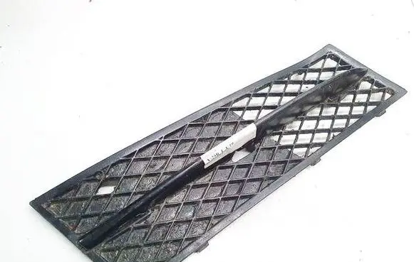 BMW 5 F10 F11 Front bumper lower grill 51117200700