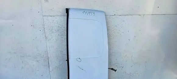 Renault Kangoo II Rear door 