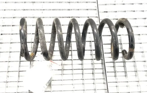 Rear coil spring