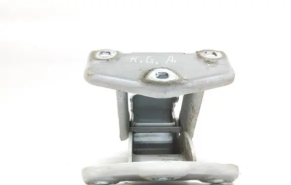 Renault Trafic III (X82) Rear door lower hinge 904195626R 96458957