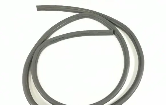 Dodge RAM Rear door rubber seal (on body) Unknown