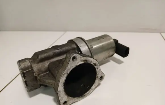 Hyundai Santa Fe EGR valve GKV19PC112006
