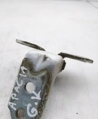 Rear door lower hinge