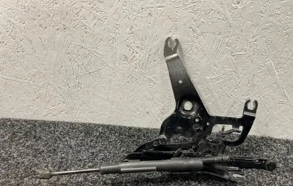 BMW X5 F15 Engine bonnet/hood hinges 7294530