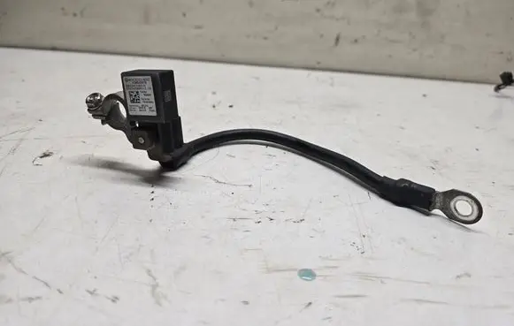 Mercedes-Benz CLS C218 X218 Negative earth cable (battery) A1665420218