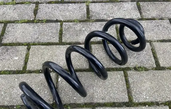 Rear coil spring