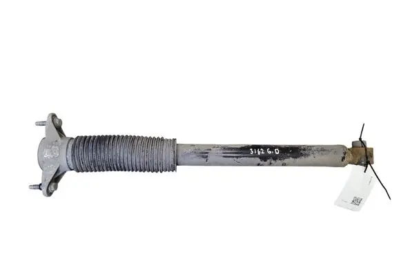 Tesla Model Y Rear shock absorber/damper 118846300C