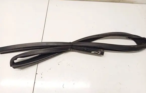 Volvo S60 Rubber seal rear door 