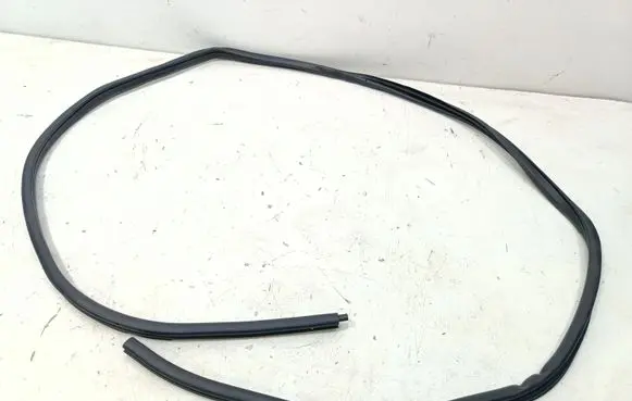 Nissan Qashqai Front door rubber seal 769214EA0A