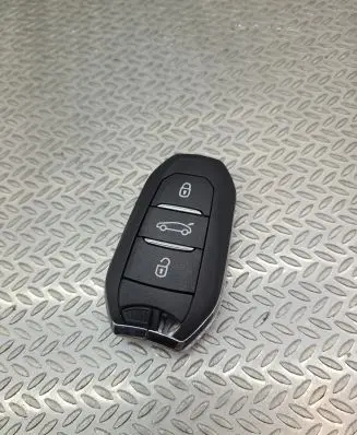 Peugeot 308 Ignition key/card 9842119480