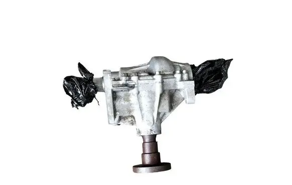 Nissan Juke I F15 Front differential brak
