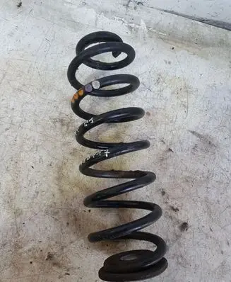 Volkswagen PASSAT B6 Rear coil spring