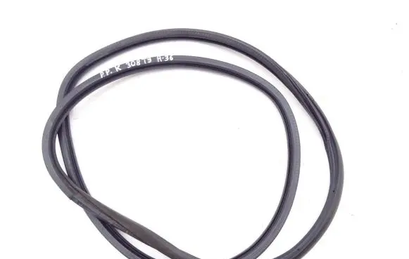 Peugeot 308 Front door rubber seal 9677519680