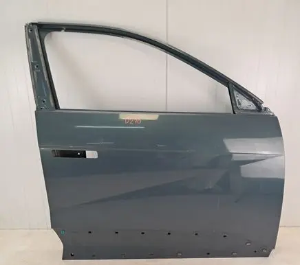 Hyundai Ioniq 5 Front door D270