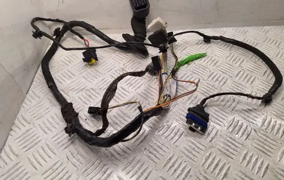 Renault Espace - Grand espace IV Front door wiring loom 7701062629 8200517560 55RFJ0050
