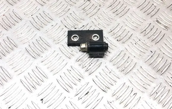 BMW 5 E39 Rear door lower hinge