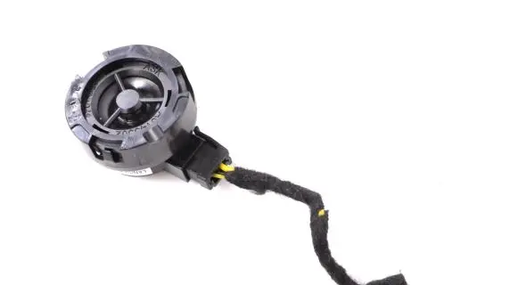 Front door speaker